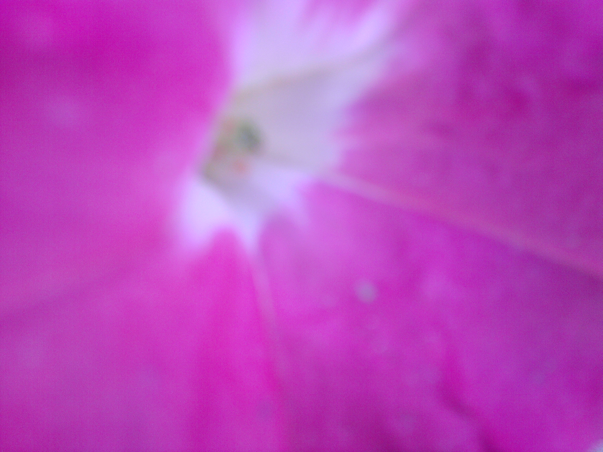 P060811_16.51_[02]